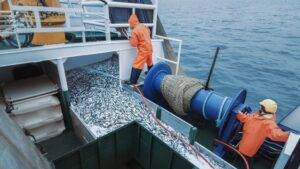 Houston Cruise Ship Worker Injury Lawyer