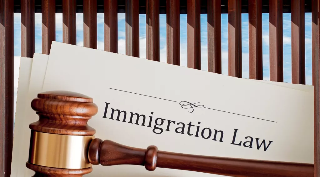 Houston Immigration Lawyers