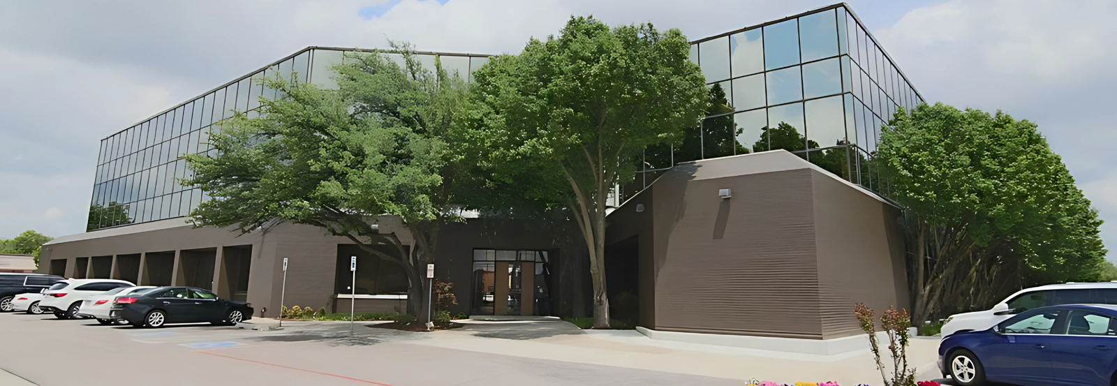 Immigration Lawyer in Katy