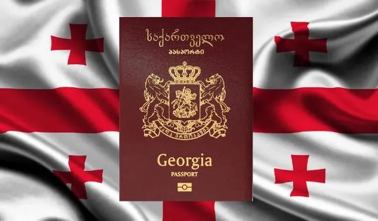Citizenship Lawyer in Georgia